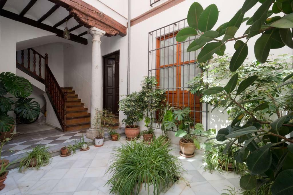 グラナダStunning Alhambra View Balconies, In The Albayzinアパートメント エクステリア 写真